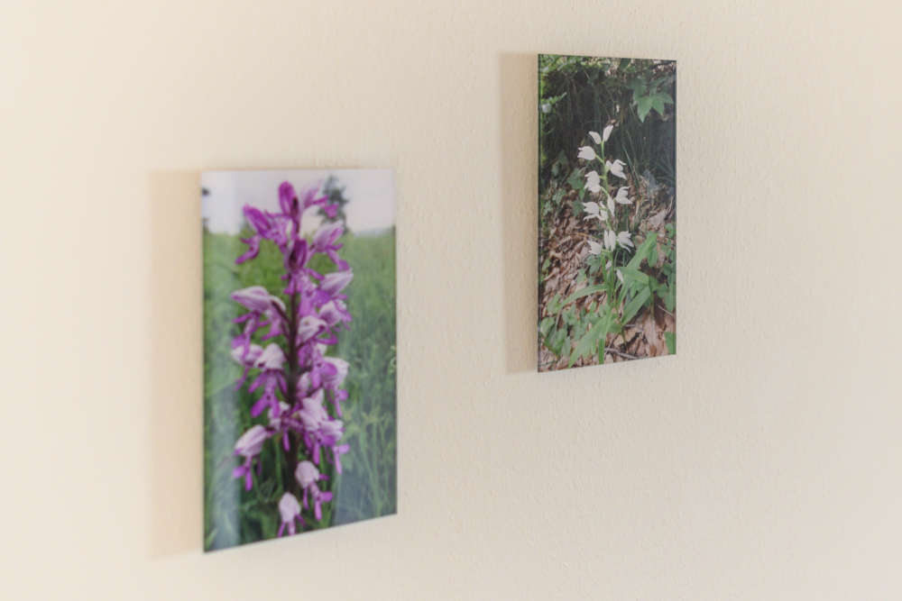 Bildergallery Bild Nr.12, Ferienwohnung Kränzle Paul Demmingen, Nr. 1