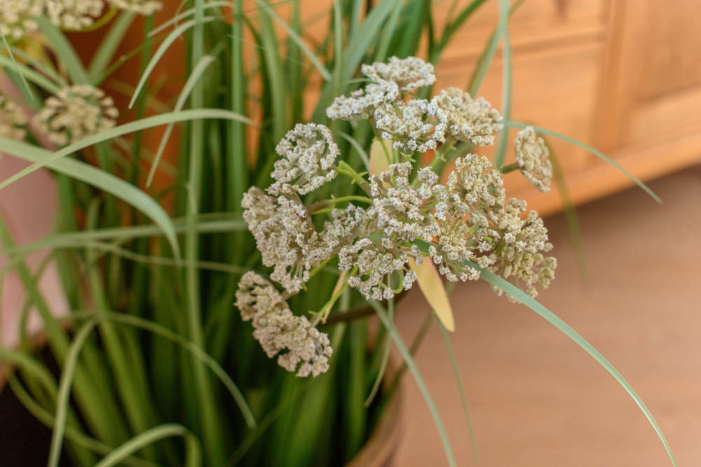 Bildergallery Bild Nr.13, Ferienwohnung Kränzle Paul Demmingen, Nr. 1